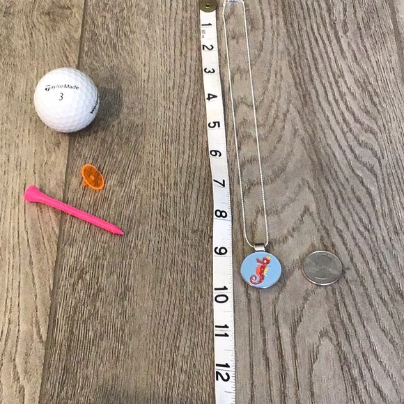 Golf ball marker magnetic necklace. Seahorse coin. - Picture 2 of 3